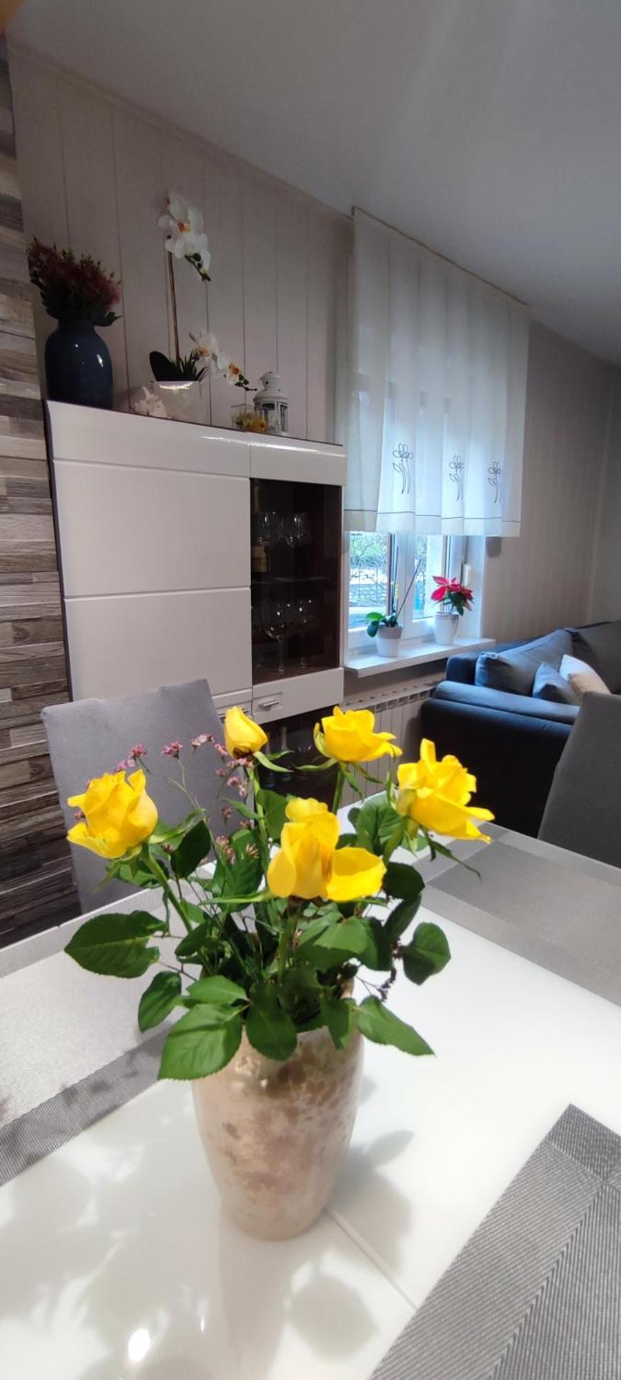 Apartma Soca Oasis Srpenica المظهر الخارجي الصورة